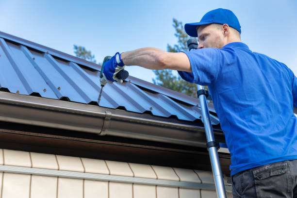Best Roof Moss and Algae Removal  in Negaunee, MI