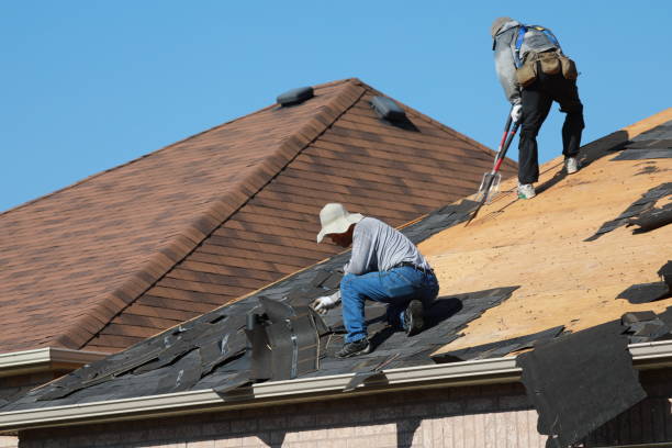 Best Solar Panel Roofing Installation  in Negaunee, MI