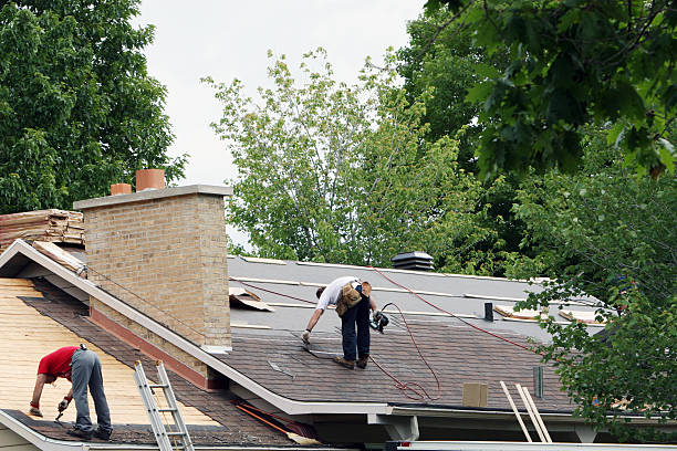 Best Roof Coating and Sealing  in Negaunee, MI